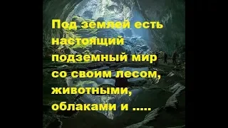 Под землей есть настоящий подземный мир со своим лесом, животными и облаками. Пещера Шондонг.