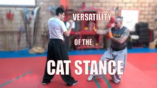 How to Use Kung Fu's Cat Stance For....GRAPPLING!!??