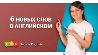 Какие слова добавили в английские словари в 2023 и 2024 || Puzzle English