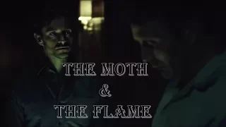 Hannibal/Will || The Moth & The Flame