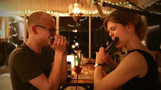 Irish harmonica & flute - Lads of Laois/The Galtee