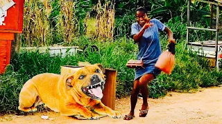 BEST OF THE BEST PRANKS IN AFRICA 2023!COMPILATION