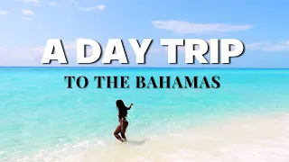 Day Trip From South Florida To The Bahamas | Balearia Caribbean Ferry To Bimini | Day Cruise Bahamas