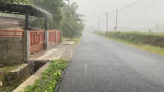 Super Heavy Rain and Strong Winds in the Middle of Rice Fields | Relaxing Rain Sounds For Insomnia