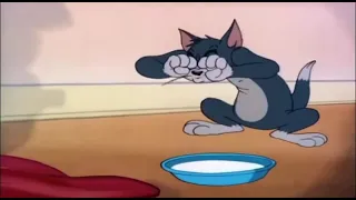 Vídeo Tom e Jerry para brincar