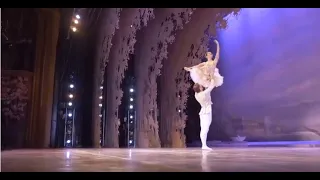 The Washington Ballet's Charmingly-DC The Nutcracker!