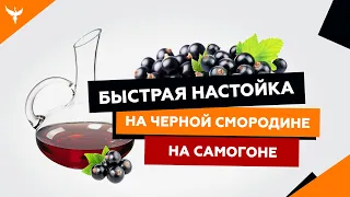 рДЖ 17 : Быстрая настойка на черной смородине на самогоне (водке)