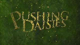 Pushing Daisies // Top Down