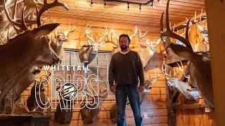 Whitetail Cribs: Southern Ohio Trophy Room with the Athen's County Record Buck