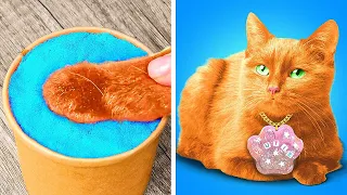 野良猫を拾いました！| 野良猫を拾った！｜飼い主のためのDIYアイデア＆ハック