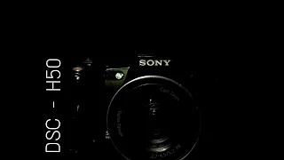 Sony DSC - H50. A 13 year old Camera