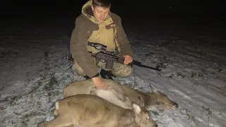Супер охота на косулю.Охота с подхода.Охота в Беларуси 2022.