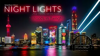 Night Light - Woods in Twilight