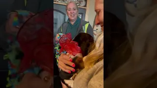 Grandma Surprised With Puppy After Losing Beloved Dog