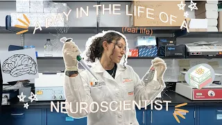 A Day in the Life of a Neuroscientist | VLOG
