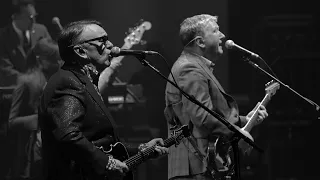 Squeeze - Pulling Mussels (From the Shell) (Live at Liverpool Philharmonic, 2019)