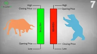 Reading Charts ٧ | كيف تقرأ الرسم البياني؟