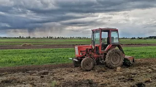 Підготовка поля під посадку картоплі 2024! Трактор Т25, Рівненщина!!