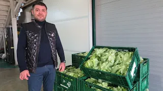 Tânărul care ajută micii fermieri să acceseze fonduri și să își vândă legumele