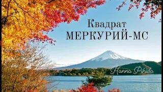 Квадрат МЕРКУРИЙ-МС(Середина неба)Hanna Pihida