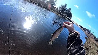 Ecola Creek Cutthroat fishing Cannon Beach,OR 4K