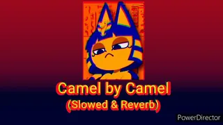 Camel by Camel - Sandy Marton (Slowed & Reverb)