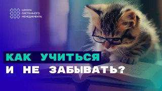 Глубокий подход к системному мышлению. Как помочь мозгу продолжать развиваться.