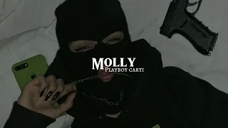 Playboy Carti - Molly (slowed + reverb)
