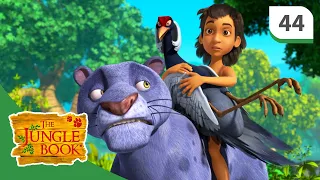 The Jungle Book ☆ Love at First Sight ☆ Season 3 - Episode 44 - Full Length