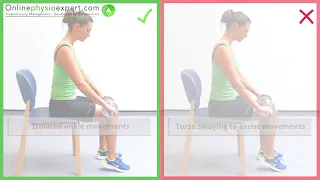 Seated Soleus Muscle Strengthening Exercise Tutorial (Level 5) - ONLINE PHYSIO EXERCISES