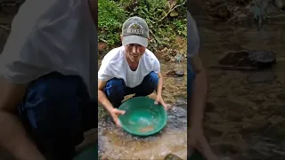 Livestream Golden UGA Dawg PICKER!!! #goldpanning #americasbackyardgold