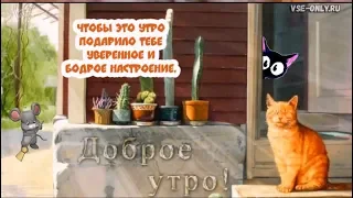 Пожелание с добрым утром! Прикольное пожелание!Доброе Утро!