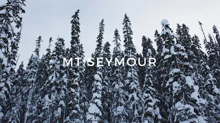 Weekend Escape | Snowshoeing Mt. Seymour, Vancouver, Canada