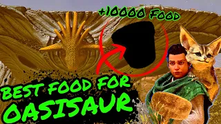 THE BEST FOOD FOR OASISAURS!!! +400 FOOD PER BITE!!! Scorched Earth Ark Survival Ascended!!!