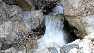 Bird Nests Behind Waterfall