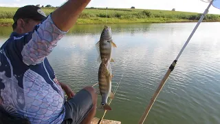 MUITO PEIXE NA CEVA, TILÁPIAS E TUCUNAS