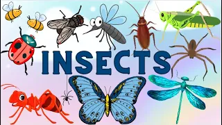 Insects| Learn Insects names in English for Kids| Ant Honeybee Fly Mosquito Butterfly Grasshopper