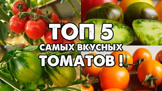 МОЙ ТОП 5 САМЫХ ВКУСНЫХ СОРТОВ ТОМАТОВ!