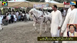 Ata e Kirmani VS Ata e Ghazi  l Horse Dance 1st October 2023 l Mehmood Pura Chak No 1 Nankana l P