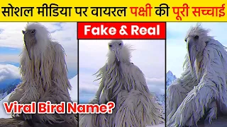 What is opium bird ? Explain Hindi | Opium bird Viral | Opium Birds From 2027@anshtalkies