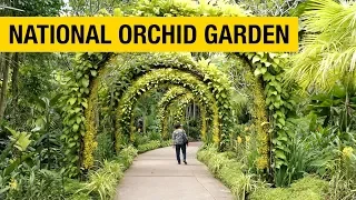 Orchid Paradise: National Orchid Garden in Singapore