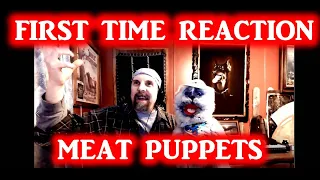 Backwater - Meat Puppets | FIRST TIME REACTION