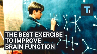 Neuroscientist explains the best exercise to improve brain function