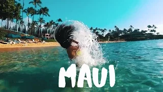 Maui Hawaii Proposal