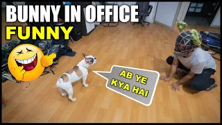 Office with Bunny and This is Funny 😆 Guneet Likes @RimoravVlogs  | Harpreet SDC