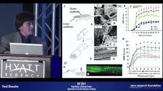 Regulating a Damage Repair Approach to Cure the Diseases of Aging - Panel Discussion