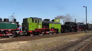 Parada Parowozów Wolsztyn 2012 (STEAM LOCMOTIVE PARADE)