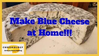 Make Blue Cheese at Home!