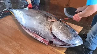Giant bluefin tuna cutting Sashimi - fish cutting skills