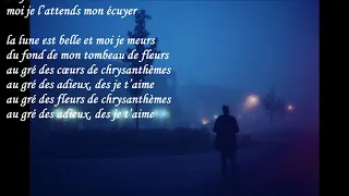 Damien Saez - Château de Brume (Lyrics)